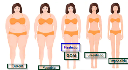 2020-01-09 20_47_23-Fat Woman Vector Images, Stock Photos &amp; Vectors _ Shutterstock